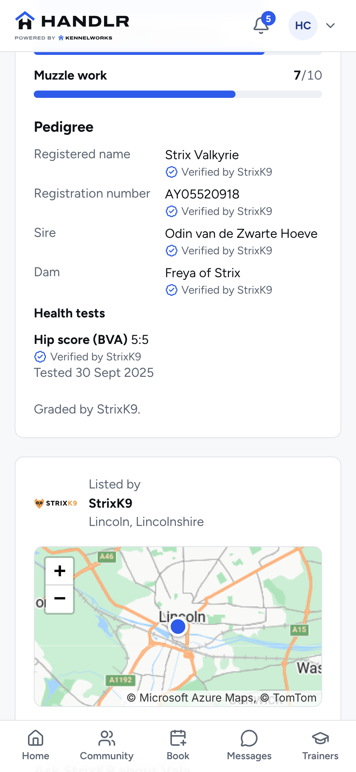 Vala, a Malinois for sale from StrixK9, with her pedigree verified by StrixK9 and a map showing the seller is in Lincoln